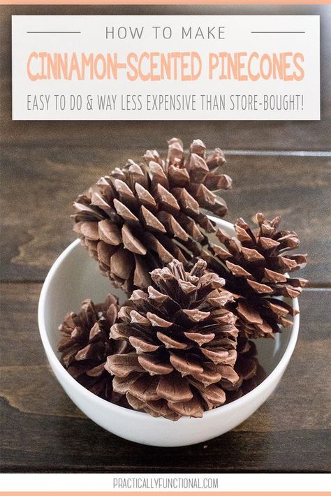 Cinnamon Scented Pinecones, Paint Pinecones, Pinecones Ideas, Cinnamon Pinecones, Scented Pine Cones, Cinnamon Scent, Diy Cinnamon, Scented Pinecones, Pinecone Crafts