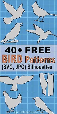 Free Bird Patterns, Vogel Silhouette, Silhouette Patterns, Bat Silhouette, Bird Template, Bird Stencil, Scroll Saw Patterns Free, Bird Carving, Word Art Design