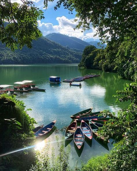 Pokhara, Nepal Lions Photos, Nepal Travel, Adventure Travel Explore, Maldives, Travel Dreams, Landscape Art, South America, Country House, Nepal