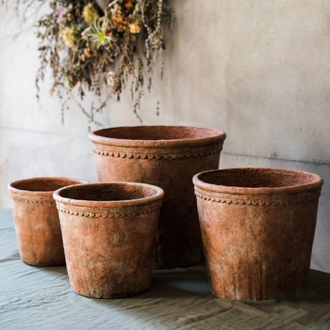 Shop Wayfair for A Zillion Things Home across all styles and budgets. 5,000 brands of furniture, lighting, cookware, and more. Free Shipping on most items. Large Outdoor Planters, Terracotta Plant Pots, Concrete Planter, Terracotta Planter, Large Planters, Concrete Planters, Outdoor Planters, Succulent Pots, Terracotta Pots