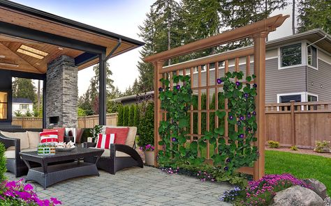 A wooden trellis with vines being used to shade one side of a patio. Backyard Planning, Vinyl Lattice Panels, Panel Trellis, Privacy Trellis, Yard Privacy, New England Arbors, Fence Gates, Wood Arbor, Screen Outdoor