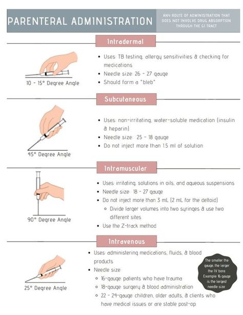 Sterile Technique Nursing, Certified Medical Assistant Study Guides, Medical Games, Nurse Pharmacology, Lpn School, Phlebotomy Study, Vet Nursing, Nursing Labs, Medical Assistant Student