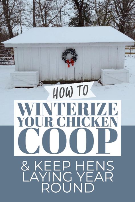 Chickens In Winter, Chicken Coop Winter, Coop Signs, Chicken Coop Blueprints, Chicken Roost, Farming Ideas, Chickens In The Winter, Raising Quail, Chicken Care