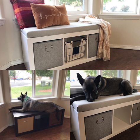 Window Pet Bed, Dog Bed Window Bench, Dog Perch For Window Diy, Pet Window Seat, Diy Dog Perch Window Seats, Window Bench For Dogs, Diy Dog Window Seat, Dog Bench Window Seats, Dog Window Bed