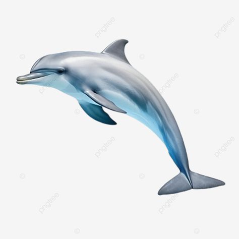 hyper realistic a dolphin full body clear details 4k real view white background 3d fish cartoon pn Dolfin Fish, Dolfin Fish Wallpaper, Dolphin Skin, Transparent Sea Creature, Dolphin Hd, Fish Cartoon, 3d Fish, Cartoon Png, Cartoon Fish