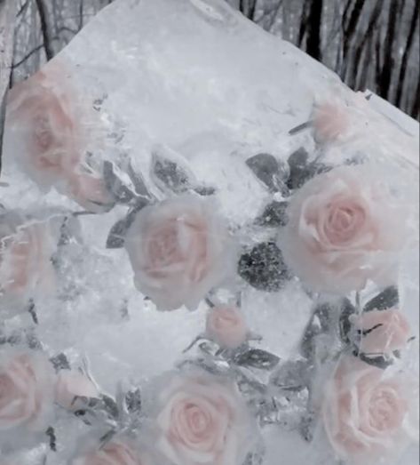 if you cross me, i'm just like my father. i am colder than titanic water.. 🌬️❄️ Ice Flower Aesthetic, Winter Rose Aesthetic, Roses Covered In Snow, Flowers In Ice Photography, Rose In Ice, Aesthetic Dictionary, Roses In Snow, Winter Fairy Coquette, Snow Wallpaper Iphone