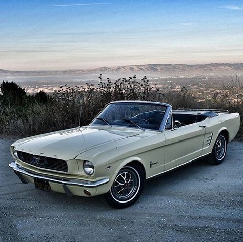 64 Mustang, 66 Ford Mustang, 66 Mustang, Vintage Mustang, Old Vintage Cars, Ford Mustang Convertible, Classic Mustang, Mustang Convertible, Mustang Fastback