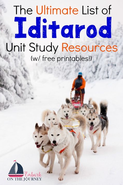 Here is the ultimate list of Iditarod unit study resources! It covers Alaska, the Great Serum Race, the Iditarod, sled dogs, mushers, and more! I've created printables, as well, to take your study to a whole new level! | embarkonthejourney.com Iditarod Lessons, Iditarod Activities, Penguin Activities, Free Homeschool Printables, Sled Dogs, Homeschool Geography, The 50 States, Study Resources, Science Worksheets