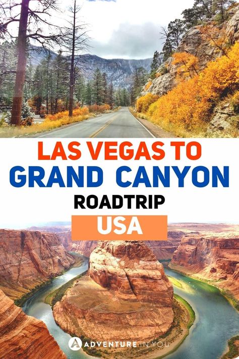 Road Trip From Las Vegas, Grand Canyon Road Trip, Road Trip Journal, Vegas Trip Planning, Grand Canyon Vacation, Desert Wildflowers, Trip Journal, Grand Canyon Tours, Los Vegas