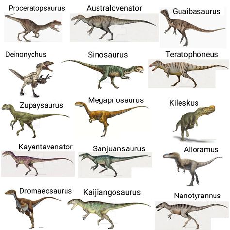 Dinosaurs Theropods 08 Theropod Dinosaur, Types Of Dinosaurs, Dinosaur Types, Dinosaur Species, Prehistoric Animals Dinosaurs, Dinosaur Facts, Prehistoric Wildlife, Prehistoric Dinosaurs, Godzilla Wallpaper