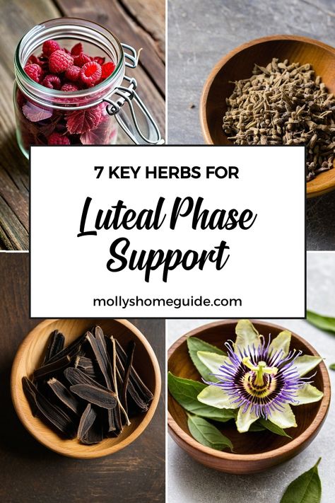 Explore the significance of the Luteal phase in your menstrual cycle and understand how herbs can support hormone balancing during this crucial time. Discover natural ways to relieve PMS symptoms and support your body through Luteal phase days 15-28. Learn about herbs specifically beneficial for the luteal phase, including seed cycling, foods, nutrition, and supplements that can help alleviate discomfort and promote overall well-being. Herbs For Menstrual Phase, Luteal Phase Symptoms, Cycle Phases, Menstrual Cycle Phases, Feeling Off, Luteal Phase, Seed Cycling, Red Raspberry Leaf, Cycle Syncing