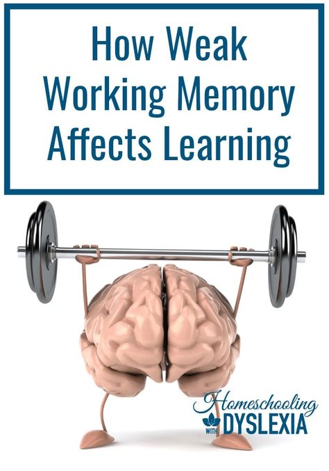 Teaching Executive Functioning, Executive Functioning Skills, Learning Differences, Working Memory, Learning Difficulties, School Psychology, School Help, Learning Disabilities, School Resources