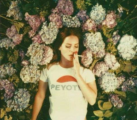 Lana Del Rey Pictures, Love Lana Del Rey, Affordable Honeymoon, Lana Del Rey Ultraviolence, Elizabeth Grant, Honeymoon Tour, Dark Paradise, Brooklyn Baby, Lana Del Ray