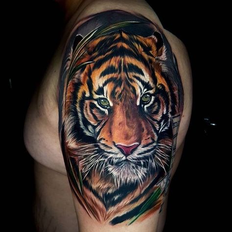 Tatuaje Cover Up, Japanese Tiger Tattoo, Colour Tattoo For Women, Tiger Tattoo Sleeve, Horse Tattoo Design, Animal Sleeve Tattoo, Animals Tattoo, Tattoo Themes, Lion Head Tattoos