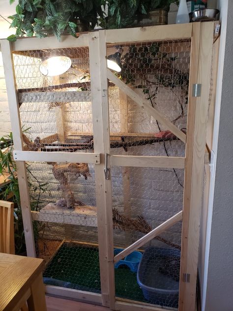 Iguana Cage Diy, Diy Iguana Enclosure, Iguana Enclosure, Iguana Care, Iguana Cage, Diy Reptile, Chinese Water Dragon, Reptile Accessories, Reptile House