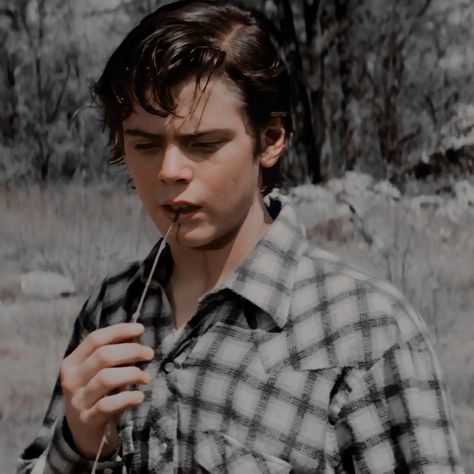 Outsiders Ponyboy, The Outsiders Ponyboy, Tommy Howell, Ponyboy Curtis, The Outsiders Cast, Stay Gold Ponyboy, The Outsiders 1983, Matt Dillon, Farm Boys