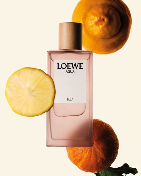 LOEWE Perfumes (@loewe_perfumes) • Instagram photos and videos Variety Of Fruits, July 10, Career, Fragrance, Fruit, Photo And Video, Instagram Photo, 10 Things, Instagram