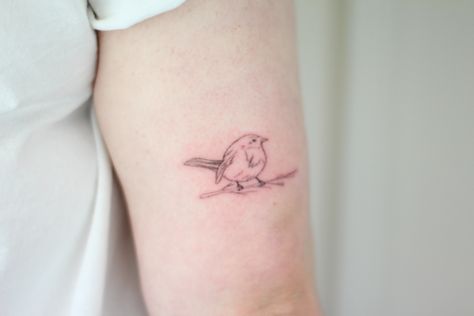 Small Finch Tattoo, Fineline Robin Tattoo, Small Robin Tattoo Black And White, Robin Outline Tattoo, Robin Line Tattoo, Fine Line Robin Tattoo, Fairy Wren Tattoo, Carolina Wren Tattoo, Tiny Robin Tattoo