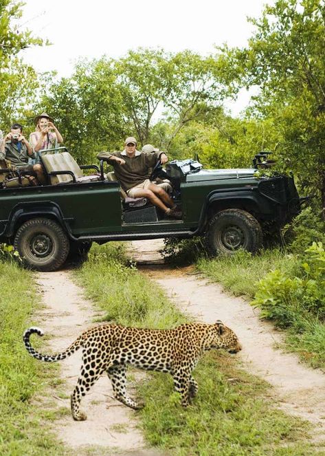 Safari Packing List, African Vacation, Sud Africa, Uganda Travel, African Jungle, Gorilla Trekking, Safari Hat, Packing Lists, Safari Adventure