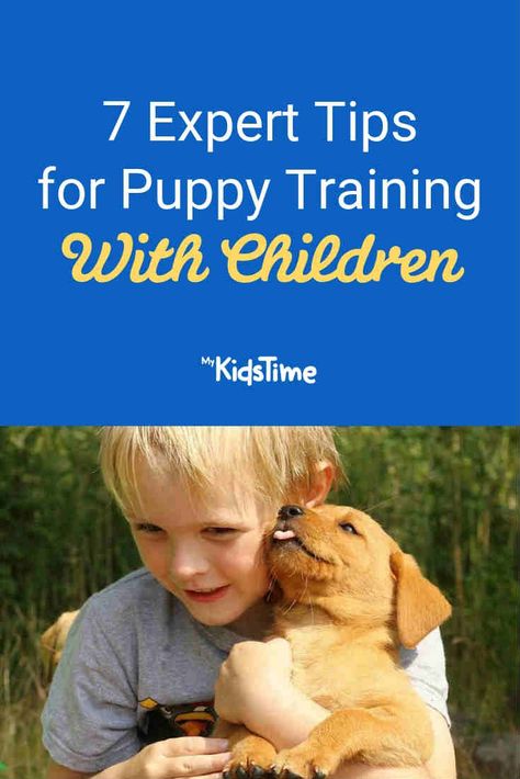 Dog Training At Home, Top 10 Dog Breeds, Train Your Puppy, Getting A Kitten, Training At Home, Puppies Tips, Reactive Dog, House Training Dogs, Puppy Training Tips