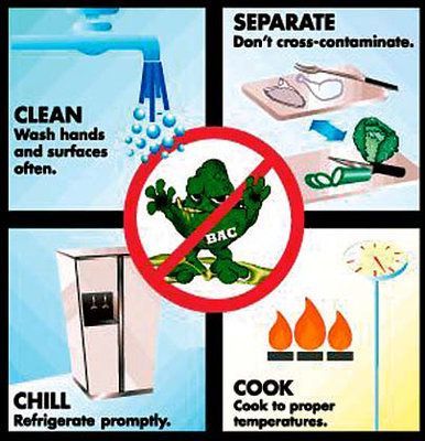 Steps to food safety Food Safety Posters, Food Safety And Sanitation, Foodborne Illness, Culinary Lessons, Health And Safety Poster, Food Safety Tips, Food Hygiene, Kitchen Safety, Nutrition Science