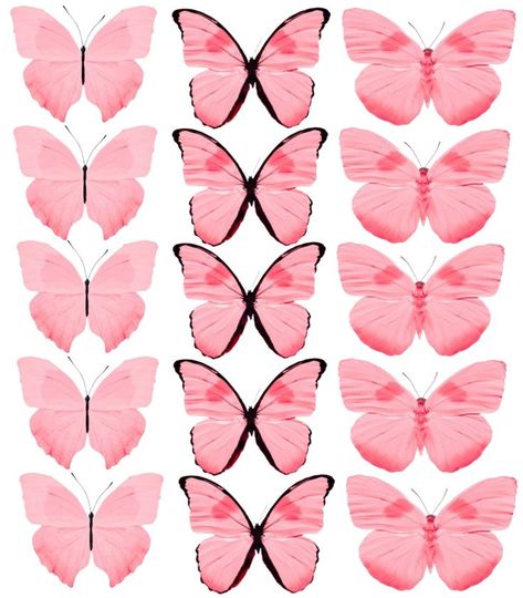 Pink Baterflay, Pink Butterfly Printable Cake Topper, Pink Butterfly Cake Topper Printable, Pink Butterfly Printable, Pink Butterfly Cake, Pink Butterfly Wallpaper, Fondant Butterfly, Superhero Cupcake Toppers, Butterfly Cupcake Toppers