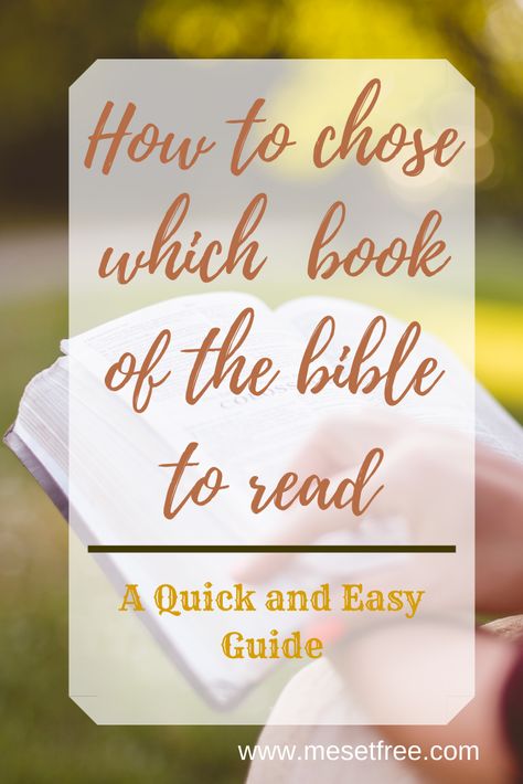 Good Bible Stories To Read, What Book Of The Bible To Read, Books In The Bible To Read When, Which Bible Book To Read, Books Of The Bible To Read For Women, What Books Of The Bible To Read First, Books In The Bible To Read, Books Of Bible Categories, What Book Of The Bible To Read First