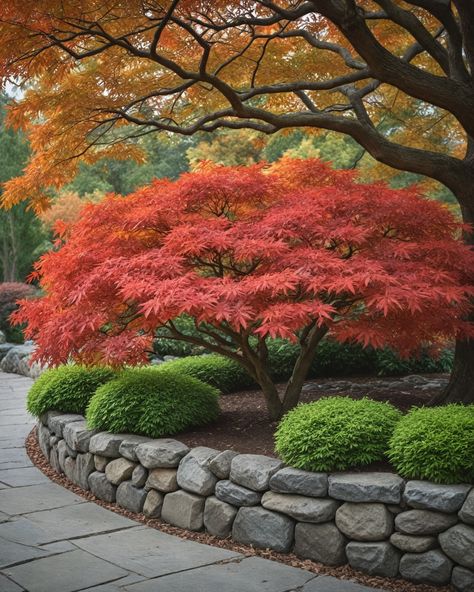 7 Best Trees For Flower Beds Tulip Tree Landscapes, Small Ornamental Trees Landscaping, Trees For Flower Beds, Ornamental Trees Landscaping, Japanese Landscaping, Small Ornamental Trees, Evergreen Landscape, Front Flower Beds, Small Japanese Garden