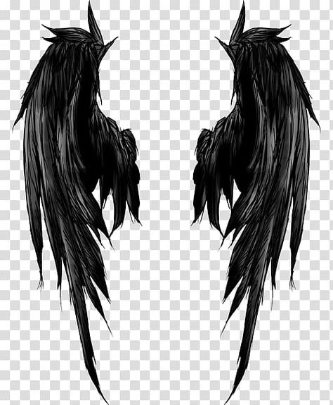 Angel Tattoo Sketch, Grey Wolf Tattoo, Eagle Wing Tattoos, Wing Tattoos On Back, Angel Wings Drawing, Wings Png, Angel Wings Art, Silhouette Sketch, Wings Wallpaper