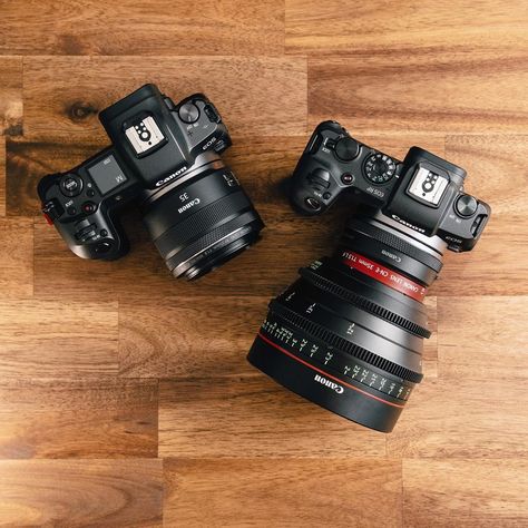 EOS-R with 35mm RF lens or EOS-RP with Cine CN-E 35mm T1.5 #canon Canon Camera Tips, Canon Eos Rp, Camera Lenses Canon, Canon Cameras, Photoshop Ideas, Camera Tips, Gopro Photography, Canon Digital Camera, Nikon Dslr