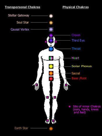 Causal chakra (or past life chakra), located 3 to 4 inches behind the center back of the head, is a gateway to angelic kingdom. Causal Chakra, Chakra Flowers, Sacral Chakra Meditation, Chakra Meditation Art, What Are Chakras, Chakra Meaning, Chakras Explained, Heart Chakra Meditation, Chakra Locations