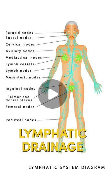 Dr. Janine Bowring, ND on Instagram: "Full Body Lymphatic Drainage Dr. Janine shares how to do full-body lymphatic drainage. She demonstrates the steps and places you want to massage to promote full-body lymphatic drainage. She starts by doing light jumping to get things moving. She explains how to massage the clavicles, under the ears and neck, and armpits, always in the direction of the mid-section where the main lymphatic drainage chain is. Lastly, Dr. Janine demonstrates how to massage the belly, groin, behind the knees, and ankles again in the direction of the mid-section to complete the full-body lymphatic drainage. Follow for more natural health tips. #lymphaticdrainage #massage #selfcare #holistic #holistichealth #drjanine" Ways To Relieve Constipation, Full Body Massage Techniques, Lymph Drainage Massage, Lymph Vessels, Body Massage Techniques, Lymph Fluid, Lymph Massage, Lymph System, Lymph Drainage