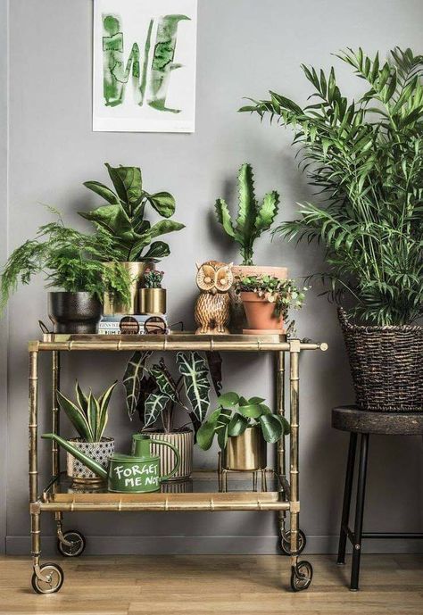 نباتات منزلية, Decor Ikea, Deco Nature, Indoor Gardens, Interior Plants, House Plants Decor, Decor Minimalist, A Shelf, Green Plants