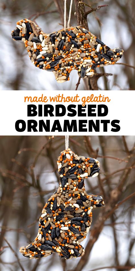 Birdseed Ornaments Made Without Gelatin - An easy and fun vegan recipe for birdseed ornaments! Follow along with Fireflies and Mud Pies for more great ideas! via @firefliesandmudpies Bird Seed Ornaments Recipe, Bird Feeders For Kids To Make, Birdseed Ornaments, Bird Seed Ornaments, Bird Feeder Craft, Bird Seed Feeders, Easy Bird, Homemade Bird Feeders, Laundry Ideas