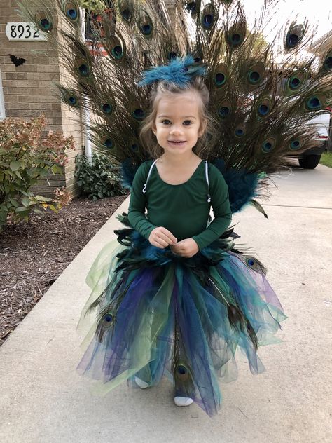 Peacock Costume Diy, Peacock Halloween Costume, Peacock Halloween, Peacock Tutu, Peacock Costume, Kids Homemade, Holloween Costume, Creative Costumes, Cute Costumes