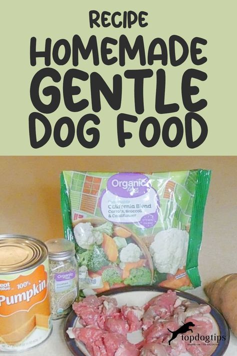 Gentle dog food recipe: Perfect for dogs with sensitive stomachs Cooker Dog, Senior Dog Food, Dog Food Recipes Crockpot, Dog Food Recipe, Senior Dog Food Recipes, Diy Dog Food, Make Dog Food, Healthy Dog Treats Homemade, Dog Foods