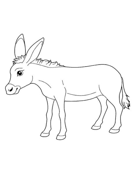 Domestic Animals Drawing, Choir Songs, Outline Pictures, Black And White Images, Domestic Animals, White Images, Black N White Images, Animal Coloring Pages, Creative Kids