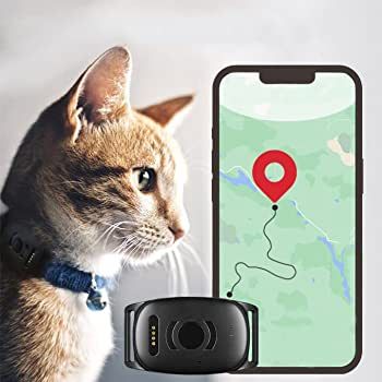 Pet Tracker, Pet Essentials, Mini Gps Tracker, Alexa Skills, Losing A Dog, Dog And Cat, Losing A Pet, Gps Tracker, Battery Life