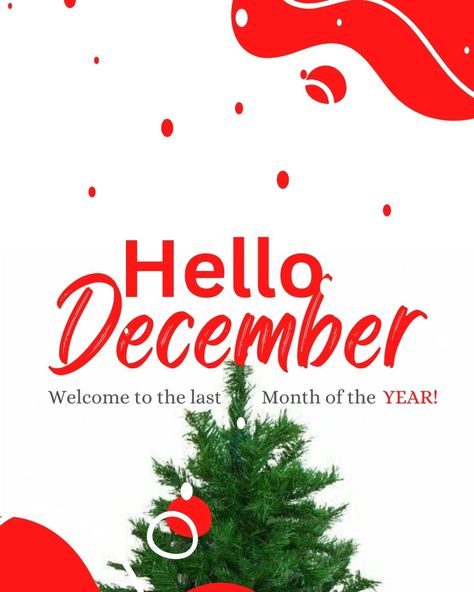 Happy New month December Happy New Month, Happy New Month December, December Month, Happy New Month, Happy December, Hello December, New Month, Months In A Year, Happy New