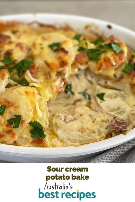 Take your potato bake game to the next level with our mouth-watering sour cream potato bake. Potato Bake With Sour Cream, Baked Potatoes Sour Cream, Sour Cream And Potato Recipes, Sour Cream Potato Bake, Potato And Sour Cream Recipes, Potato Sour Cream Recipes, Recipes Using Sour Cream, Creamy Potato Bake, Cheesy Potato Bake