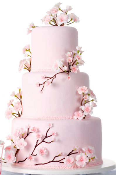 Beautiful cherry blossom wedding cake (: Cherry Blossom Wedding Bouquet, Cherry Blossom Wedding Cake, Cherry Blossom Party, Cherry Blossom Cake, Cherry Blossom Wedding, Tiered Cake, Wedding Cake Inspiration, Special Cake, Beautiful Wedding Cakes