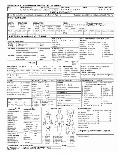 Costum Nursing Head To Toe Assessment Template Doc Sample Nursing Respiratory Assessment, Nurse Practitioner Charting, Full Body Assessment Nursing, Nursing Assessment Cheat Sheet, Nurse Cheat Sheets, Nursing Documentation, Assessment Checklist, Nursing Cheat, Nursing Information