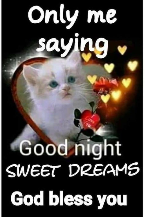 Best Good Night Quotes, Inspirational Good Night Messages, Best Good Night, Good Night Cards, Good Night Cat, Good Night Prayer Quotes, Images Emoji, Beautiful Good Night Quotes, Good Night Love Quotes