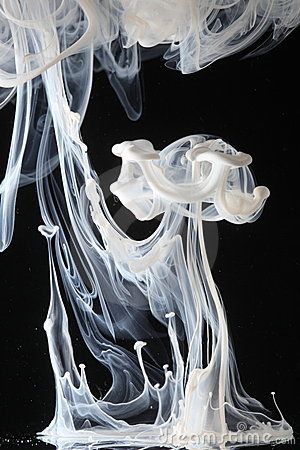 Wispy swirls created by white ink dispersing in water against a black background. High Speed Photography, Ink In Water, Water Photography, Stock Photography Free, Abstract Photography, Photography Pictures, Fluid Art, White Ink, Macro Photography