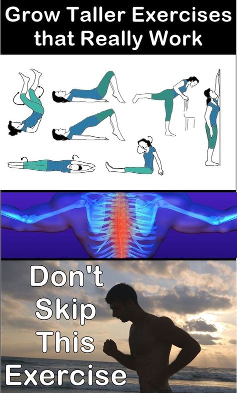 Taller Workout, Height Exercise, Tips To Increase Height, Get Taller Exercises, How To Get Tall, Grow Taller Exercises, Grammar Help, Biology Diagrams, Taller Exercises