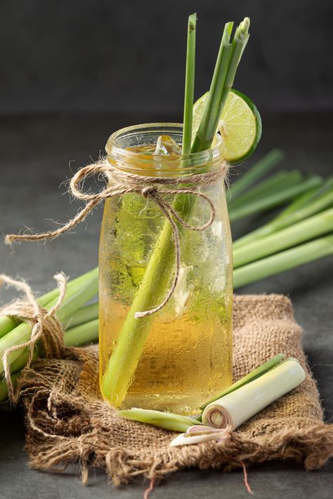 11 Benefits of Lemongrass Tea Lemon Grass Benefits, Grow Lemongrass, Lemongrass Plant, How To Grow Lemon, Lemongrass Tea, Aromatic Herbs, Survival Food, Tasting Table, Herb Seeds