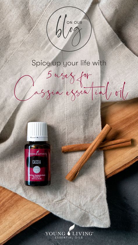 Cassia Essential Oil Uses, Cassia Essential Oil Blends, Oil Roller Bottle Recipes, Diffuser Blends Young Living, Cassia Essential Oil, Essential Oil Roller Bottle Recipes, Thieves Cleaner, Essential Oil Skin Care, Essential Oil Combinations