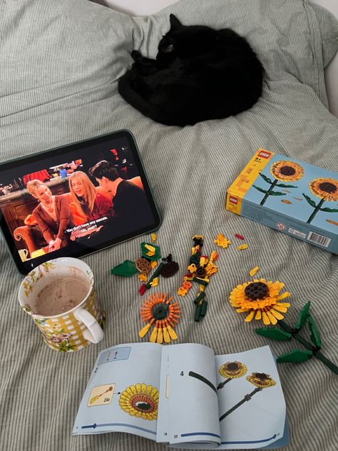 Legos In Room, Me As A Hobby, New Hobbies Aesthetic, Lego Dates Aesthetic, Dates Ideas Aesthetic, Aesthetic Bucket List, Aesthetic Hobbies, Hobbies Aesthetic, Dates Aesthetic