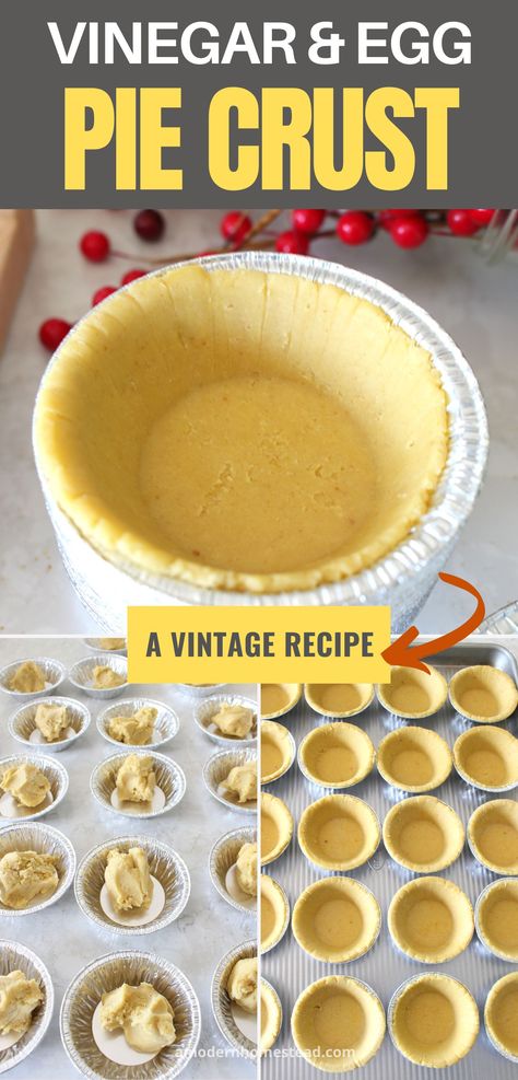 Take your baking skills to new heights with this incredible vinegar and egg pie crust recipe. This secret gem will elevate your pies, providing a flaky, tender, and flavorful crust that will leave everyone craving more! Yields 2 crusts. All Shortening Pie Crust, Pie Crust Using Vinegar And Egg, Pie Crust With Egg And Vinegar Recipe, Never Fail Pie Crust Recipe Vinegar, Pie Crust Vinegar, Egg And Vinegar Pie Crust, No Fail Pie Crust Recipe Vinegar, Pie Crust Recipe With Egg And Vinegar, Pie Crust With Egg And Vinegar