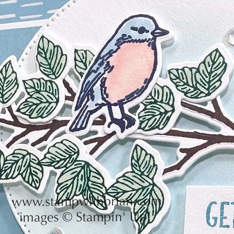 Stampin Up Seasonal Branches Cards, Stampin Up Seasonal Branches, Seasonal Branches Stampin Up Cards, Seasonal Branches, Craft Retreat, Get Well Wishes, Paper News, Su Cards, Get Well Cards